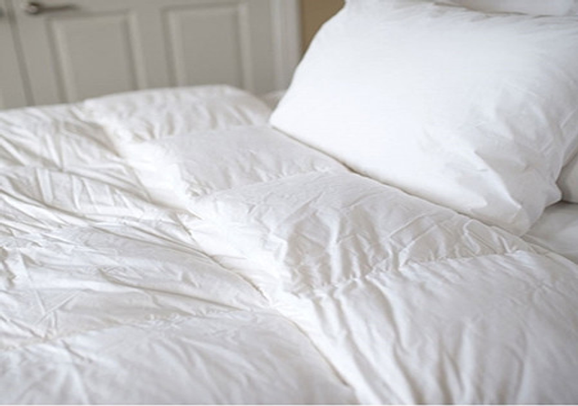German Cotton European White Goose Down Twin Comforter  - Oversized Twin XL Bedding