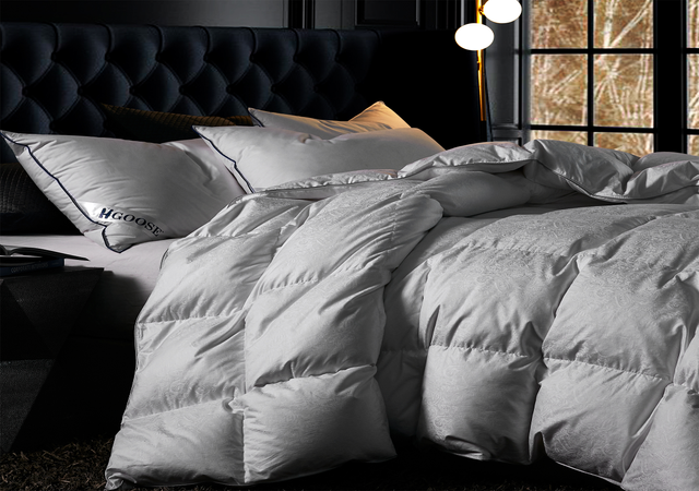 HGOOSE® - Jacquard 90% Hungarian White Goose Down Comforter - Oversized Queen